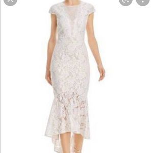 Aqua Ivory/nude Lace fluted dress